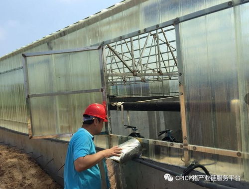 海大华匠，万头现代化猪场缘何受业内关注？——CPICP取经记之工程环保设施施工探秘